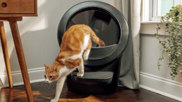 Litter-Robot® 4