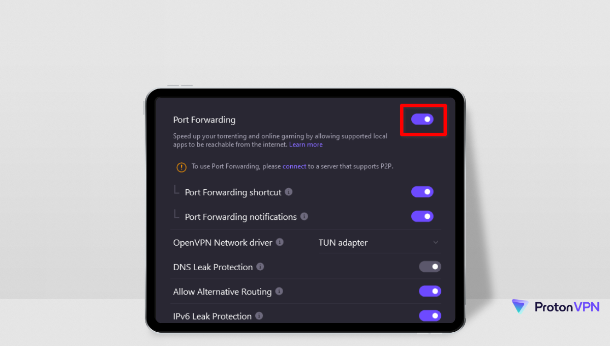 Proton VPN