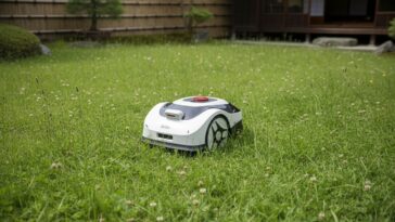 RoboUp Raccoon S2 : La tondeuse sans fil périmétrique idéale ?