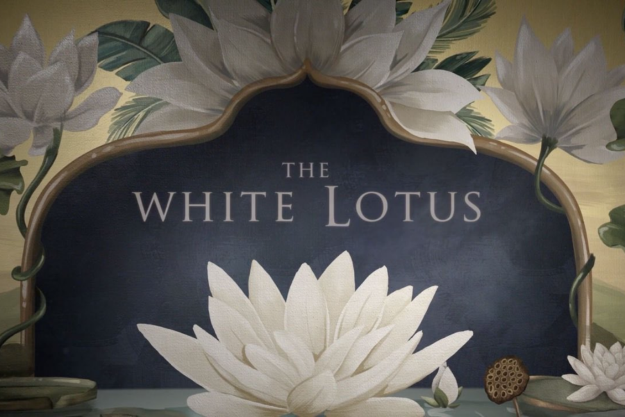 Le casting de The White Lotus saison 4 s'annonce explosif ! Nouveaux riches, nouveaux drames !