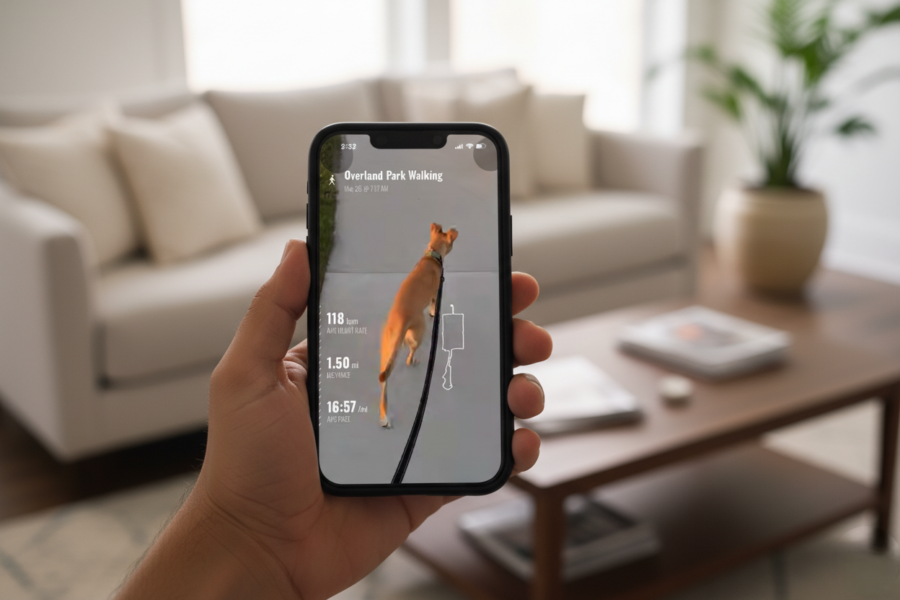 Garmin étend cette nouvelle fonctionnalité à l'échelle mondiale sur plusieurs smartwatches