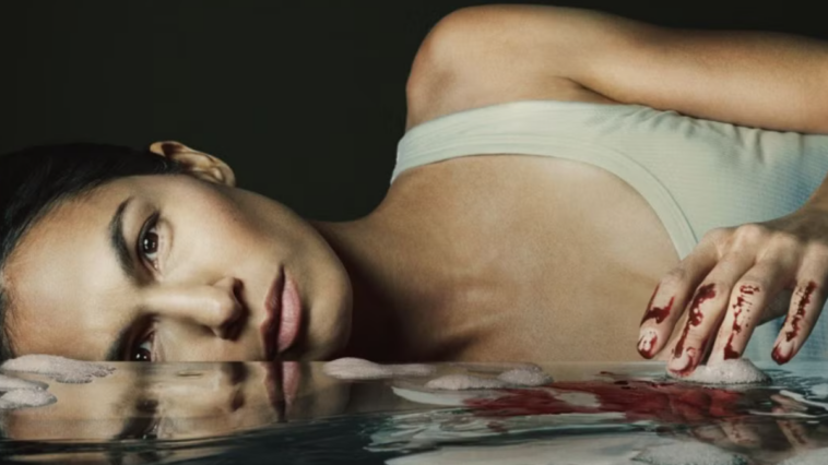 Analyse de la fin de The Cleaning Lady saison 4, que nous réserve la suite ?