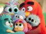 Angry Birds 3