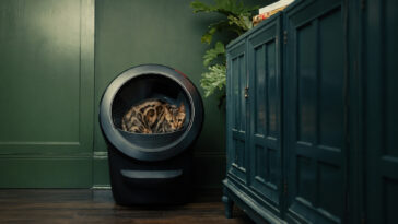 Litter-Robot 4 : une litière pensée pour l’été