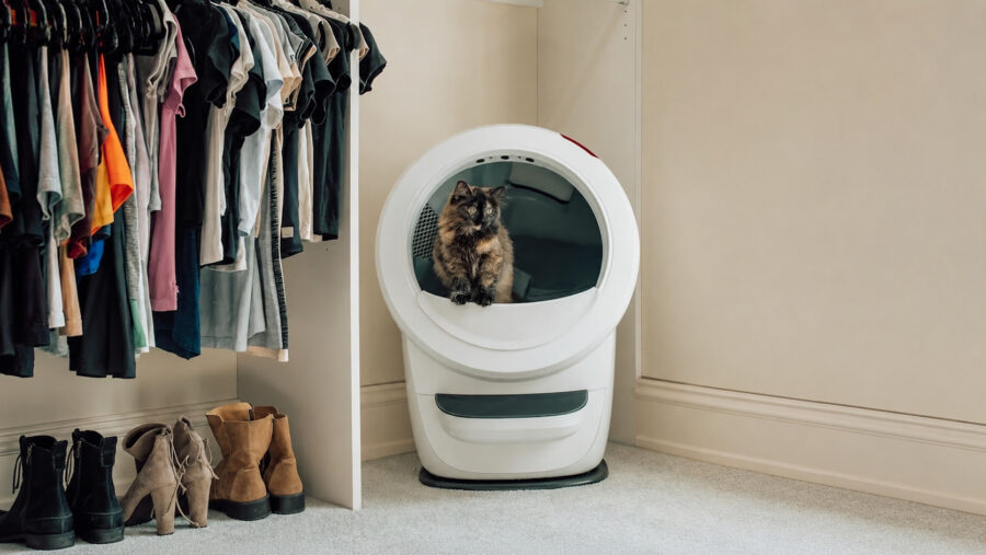 Litter-Robot 4 : une litière pensée pour l’été