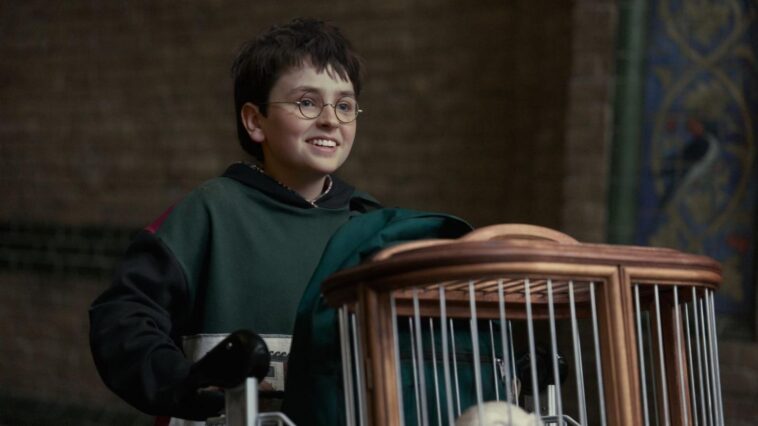 Harry potter HBO