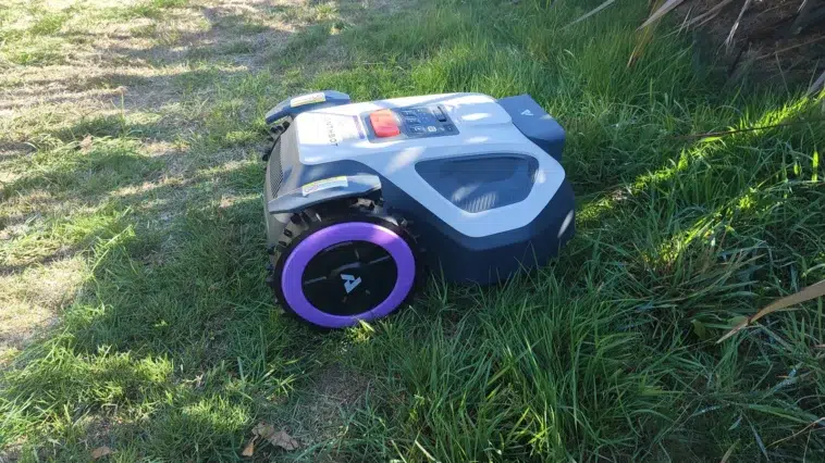 Robot tondeuse ANTHBOT M5 sur une pelouse pendant notre test