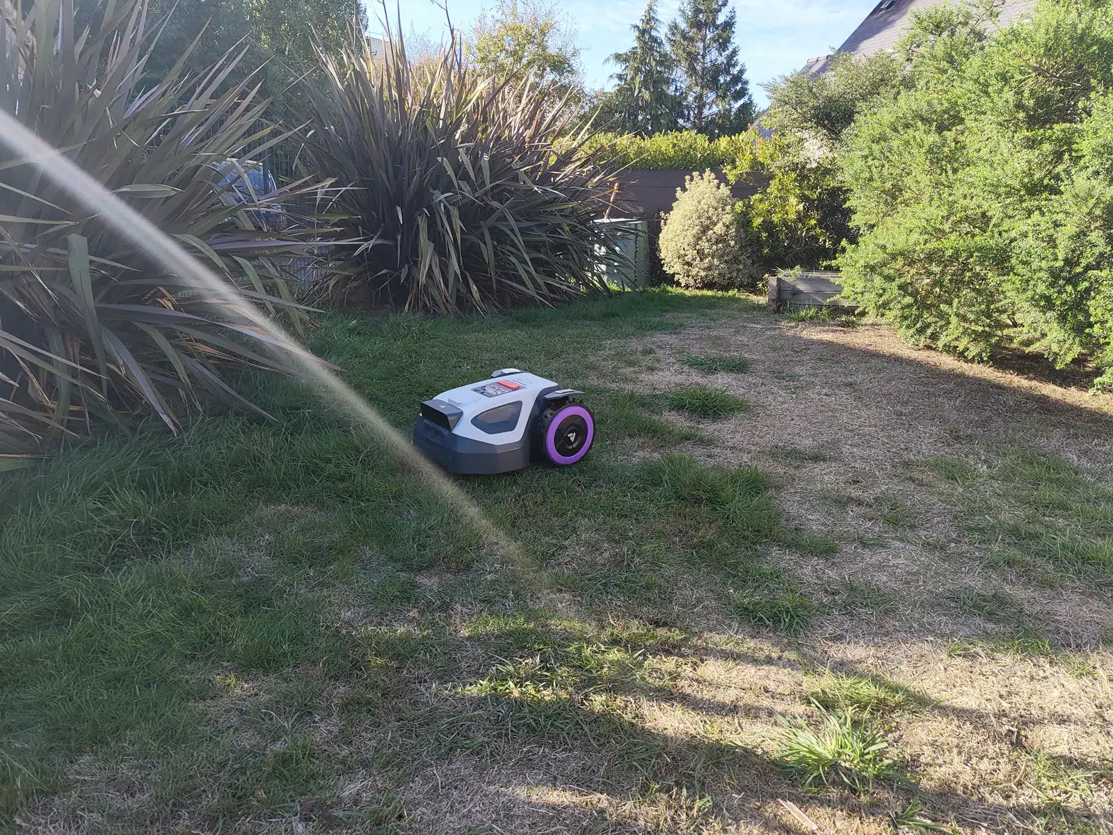 Le robot ANTHBOT M5 se déplace sur la pelouse entre les grands massifs du jardin